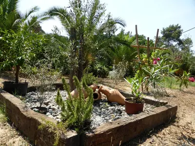 a garden with a cow laying in the middle at Relais de Bravone in Linguizzetta