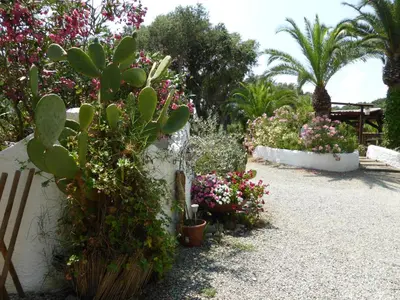 a garden with flowers and plants on a path at Relais de Bravone in Linguizzetta