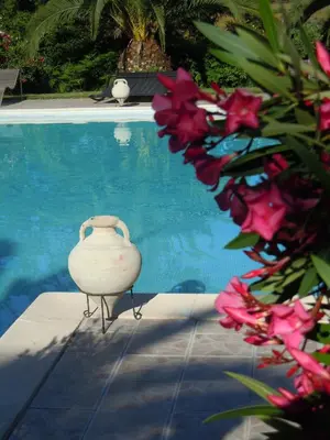 a white vase sitting next to a swimming pool at Relais de Bravone in Linguizzetta