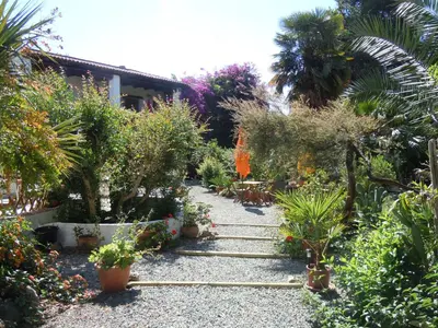 a garden with trees and plants on a path at Relais de Bravone in Linguizzetta