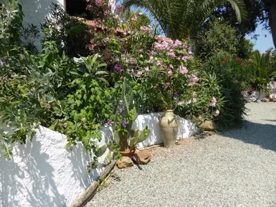 a group of flowers in vases on the ground at Relais de Bravone in Linguizzetta