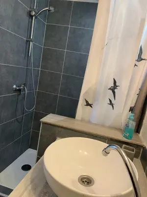 a bathroom with a sink and a shower with birds on the shower curtain at U Sognu in Muro