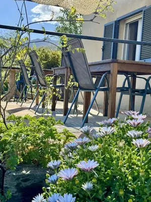 a row of chairs sitting next to a table and flowers at U Sognu in Muro