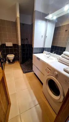 a bathroom with a washing machine and a sink at Appartement Caroline in Sotta
