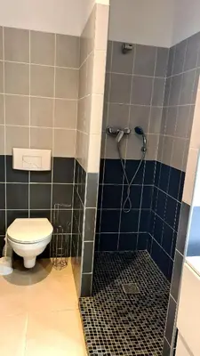 a bathroom with a toilet and a shower at Appartement Caroline in Sotta