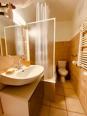 a bathroom with a sink and a toilet at Joli deux pièces, centre ville et proche plage in Propriano