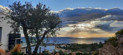 a tree on a hill with a view of the ocean at Villa-soleil-levant vue mer panoramique in Sari Solenzara