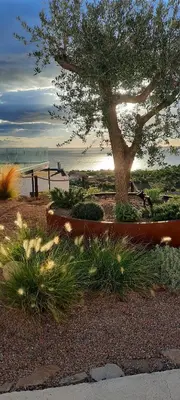 a tree in a park with a bench and a tree at Villa-soleil-levant vue mer panoramique in Sari Solenzara