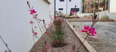 a garden with pink flowers next to a building at Villa-soleil-levant vue mer panoramique in Sari Solenzara