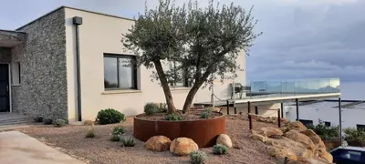 a tree in a pot in front of a house at Villa-soleil-levant vue mer panoramique in Sari Solenzara