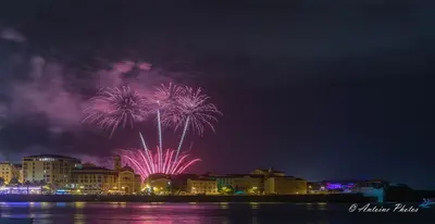 a firework display in the sky over the water at Sudio bord de mer Ajaccio in Ajaccio