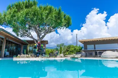 a swimming pool with a tree in front of a house at Résidence de la Plage in Porto-Vecchio