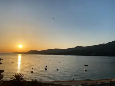 a group of ducks in the water at sunset at Fronte di Mare - deux pièces en bord de mer in Propriano