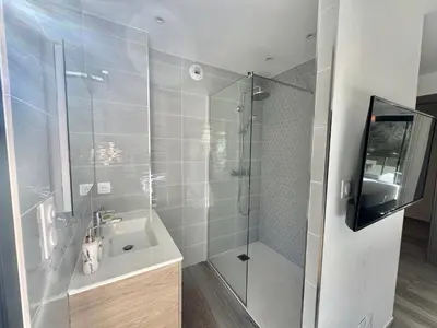 a bathroom with a sink and a glass shower at Fronte di Mare - Grand confort vue mer in Propriano