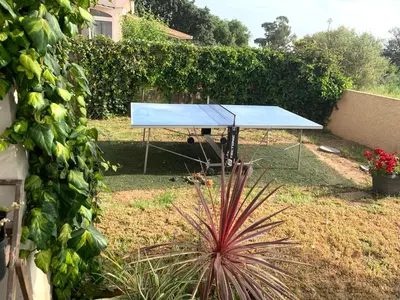 a blue ping pong table in a garden at Jolie maison Borgo trois chambres trois salles de bain in Borgo