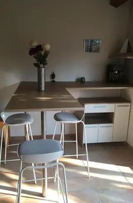 a kitchen with two chairs and a table with a vase of flowers at Charmant studio avec piscine . in Afa