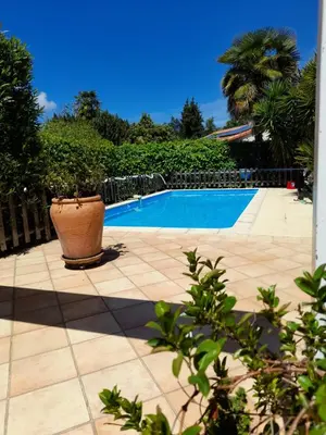 a swimming pool with a potted plant next to it at Charmant studio avec piscine . in Afa