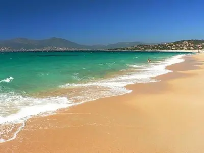 a beach with a person swimming in the ocean at T2 PORTICCIO AGOSTA PLAGE 100M DE LA PLAGE in Porticcio
