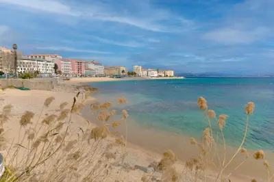 a sandy beach with buildings and the ocean at Appartement refait à neuf, proche plage et centre ville- Ajaccio-Parc Berthaut in Ajaccio