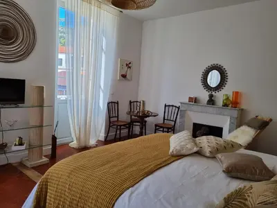 a bedroom with a large bed and a fireplace at Appartement CLADA/ Côté Lac in Ajaccio