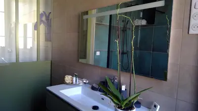 a bathroom with a sink and a mirror and a plant at Appartement CLADA/ Côté Lac in Ajaccio