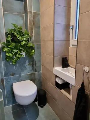 a bathroom with a toilet and a plant on the wall at Appartement CLADA/ Côté Lac in Ajaccio