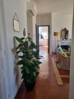a hallway with a potted plant on the floor at Appartement CLADA/ Côté Lac in Ajaccio