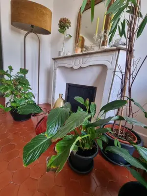 a living room with plants and a fireplace at Appartement CLADA/ Côté Lac in Ajaccio