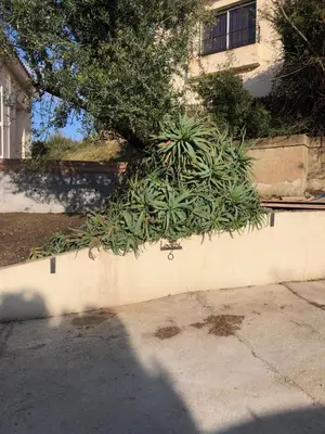 a potted plant sitting on top of a wall at Casa Lova in Propriano
