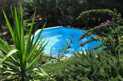 a blue swimming pool in a garden with plants at CASA SOPRANA - HAUT DE VILLA indépendant avec piscine et jardin privés - Independant TOP OF VILLA with private pool and garden in Porto-Vecchio