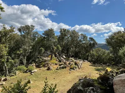 a group of rocks and trees on a hill at Coquet appartement indépendant entre mer et maquis in Sotta