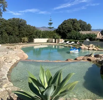 a swimming pool in a yard with a plant at Maison Le Prunier avec piscine - Domaine E Case Di Cuttoli in Cuttoli-Corticchiato