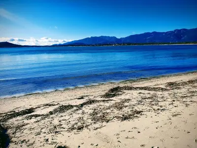 a beach with the ocean and mountains in the background at maisonnette à la campagne in San-Gavino-di-Carbini