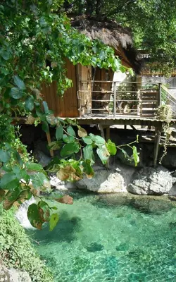 a bridge over a pool of water with green leaves at La Cabane du Bandit in Pietroso