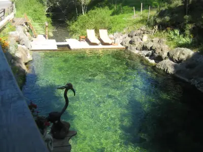 a swimming pool with a black bird in the water at La Cabane du Bandit in Pietroso