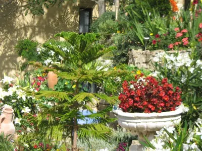 a garden with flowers and plants in pots at Hôtel Aïtone in Evisa