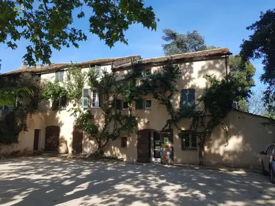 a large white building with a tree in front of it at Domaine de Valle in Sorbo-Ocagnano