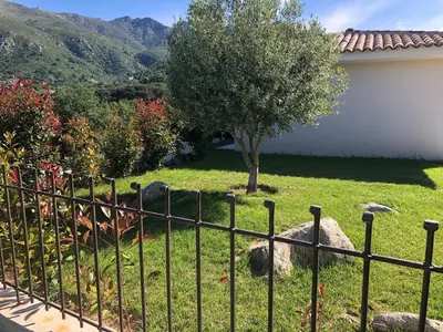 a fence in front of a yard with a tree at Villa Récente avec Piscine proche L'ILE ROUSSE in Ville-di-Paraso