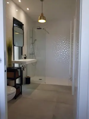 a bathroom with a shower and a sink and a toilet at Maisons T2 avec jardins privatifs - 10mn de la plage et 5mn du village - Casa di i trinelli in Vescovato