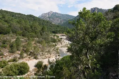 a view of a river with a bridge in the distance at Villa Renajolo 6 pers 3 min plage en voiture in Sainte-Lucie de Porto-Vecchio