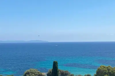 a view of the ocean with a tree in the foreground at Nice And Bright 60 M With Terrace View On The Sea in Ajaccio
