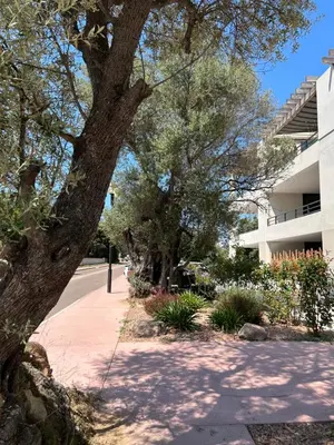 a tree on a sidewalk next to a building at Sognu di Serena - Superbe appartement avec parking gratuit sur place in Porto-Vecchio