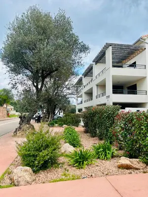 a white building with a tree and some bushes at Sognu di Serena - Superbe appartement avec parking gratuit sur place in Porto-Vecchio