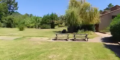 two picnic benches in a park with a tree at L'Original, Superbe appartement à 5min de la plage in Zonza
