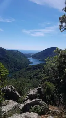 a view of a river from a mountain with trees at Appartement 1 chambre en Haute-Corse à Pietra Di Verde in Pietra-di-Verde