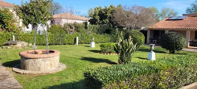 a garden with a large barrel in the grass at 