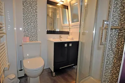 a bathroom with a toilet and a sink and a shower at Douceur du soir - Duplex 45m2 - Terrasse - Jardinet - Wifi fibre - Plage à pied in Porticcio