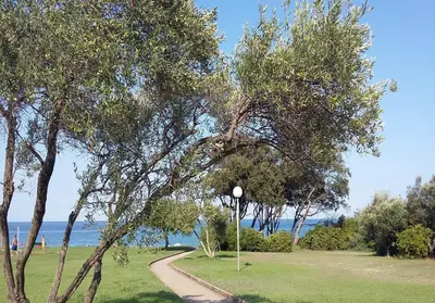 a path through a park with trees and the water at Kazamasavani - Belle maison proche mer in Cervione