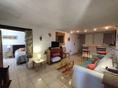 a living room with a couch and a room with a bed at Entre mer & maquis, l'âme de la Corse en gîtes de charme avec jacuzzi, proche Ajaccio in Peri