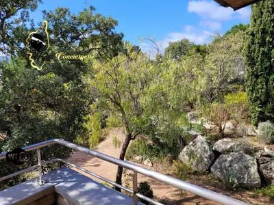 a stairway leading down to a trail with trees and rocks at Studio 4 pers Piscine Chauffée accès à pied à la plage Santa Giulia in Porto-Vecchio
